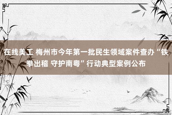 在线美工 梅州市今年第一批民生领域案件查办“铁拳出稽 守护南粤”行动典型案例公布