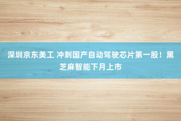 深圳京东美工 冲刺国产自动驾驶芯片第一股！黑芝麻智能下月上市