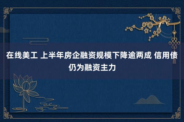 在线美工 上半年房企融资规模下降逾两成 信用债仍为融资主力