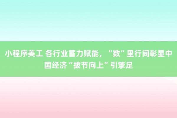 小程序美工 各行业蓄力赋能，“数”里行间彰显中国经济“拔节向上”引擎足