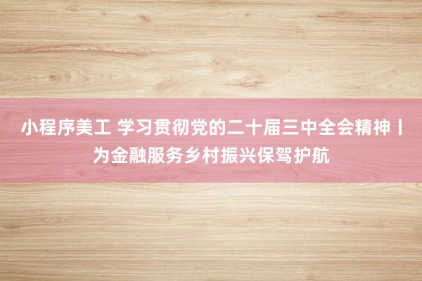 小程序美工 学习贯彻党的二十届三中全会精神丨为金融服务乡村振兴保驾护航