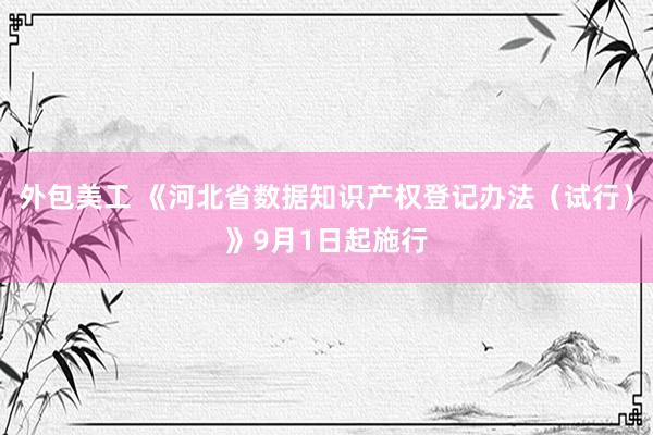 外包美工 《河北省数据知识产权登记办法（试行）》9月1日起施行